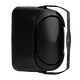 wall speaker